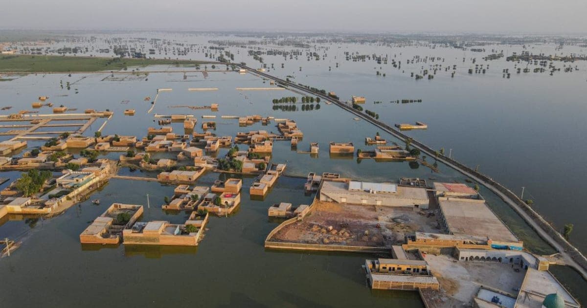 Climate Crisis in Pakistan: Deciphering the Democratic Aspects of the Failure of Climate  Action
