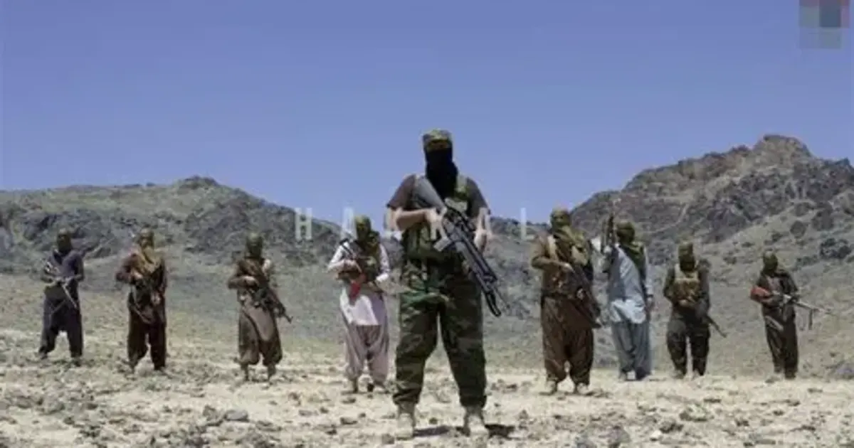 The Role of Pakistani Politics in the Growth of Pro-BLA Sentiment in Balochistan